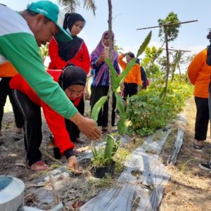 Demo Plot, Tempat Kami Belajar