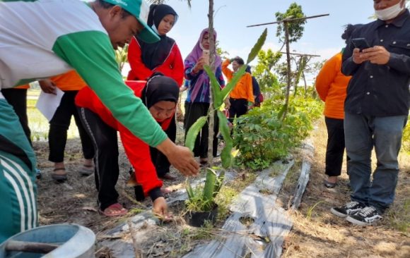 Demo Plot, Tempat Kami Belajar